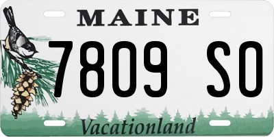 ME license plate 7809SO