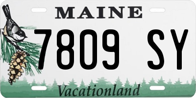 ME license plate 7809SY