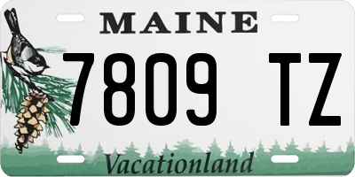 ME license plate 7809TZ