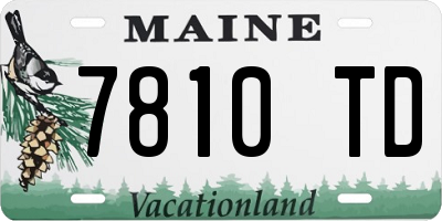 ME license plate 7810TD