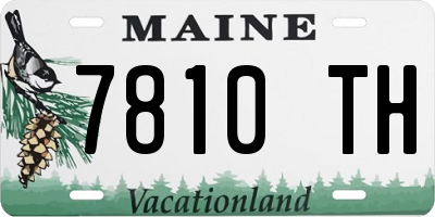 ME license plate 7810TH