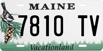 ME license plate 7810TV