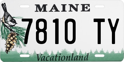 ME license plate 7810TY