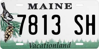 ME license plate 7813SH