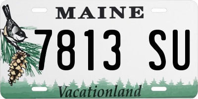 ME license plate 7813SU