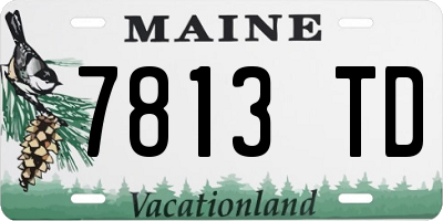 ME license plate 7813TD