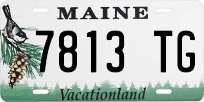 ME license plate 7813TG