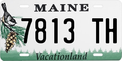 ME license plate 7813TH