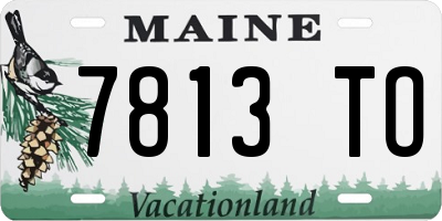 ME license plate 7813TO
