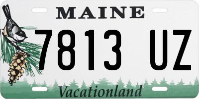 ME license plate 7813UZ