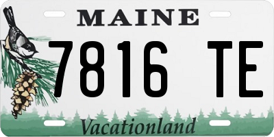 ME license plate 7816TE