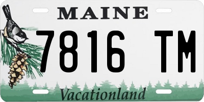ME license plate 7816TM