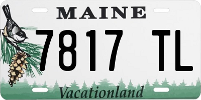 ME license plate 7817TL