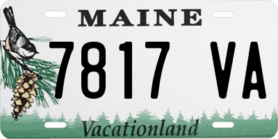 ME license plate 7817VA