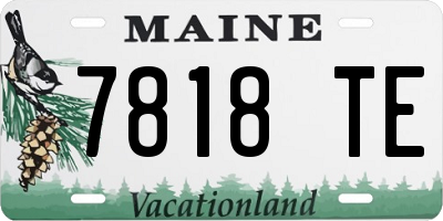 ME license plate 7818TE