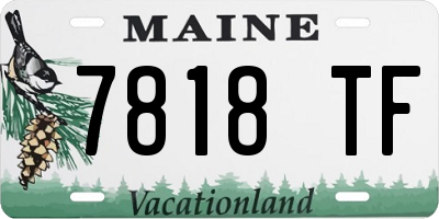 ME license plate 7818TF