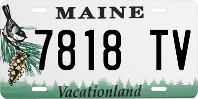 ME license plate 7818TV