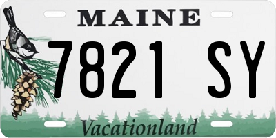 ME license plate 7821SY