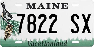 ME license plate 7822SX