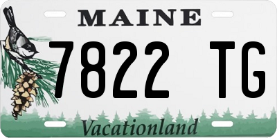 ME license plate 7822TG