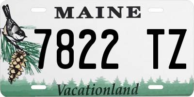 ME license plate 7822TZ