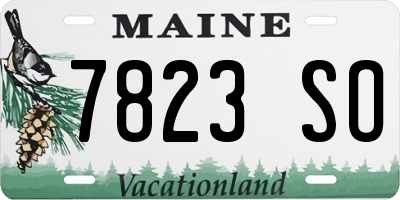 ME license plate 7823SO