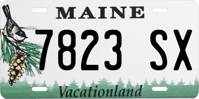 ME license plate 7823SX
