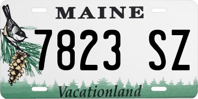 ME license plate 7823SZ