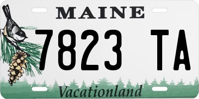 ME license plate 7823TA