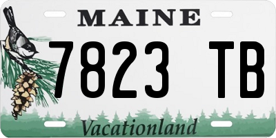 ME license plate 7823TB