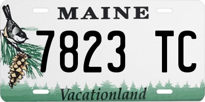ME license plate 7823TC