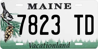 ME license plate 7823TD
