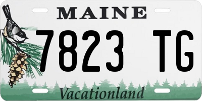 ME license plate 7823TG
