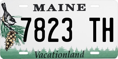 ME license plate 7823TH