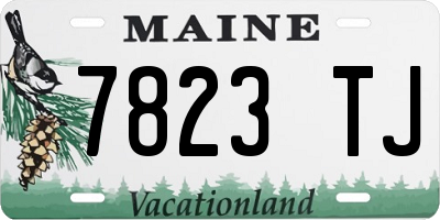 ME license plate 7823TJ