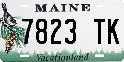 ME license plate 7823TK