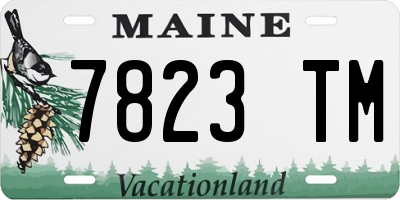 ME license plate 7823TM