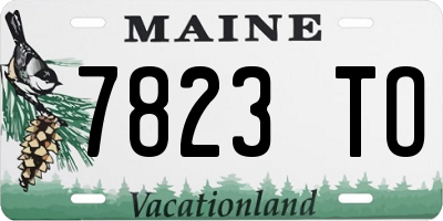 ME license plate 7823TO