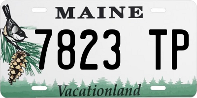 ME license plate 7823TP