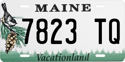 ME license plate 7823TQ