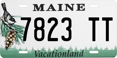 ME license plate 7823TT