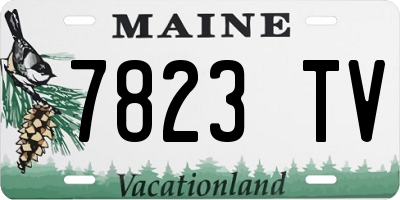 ME license plate 7823TV