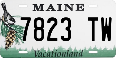 ME license plate 7823TW