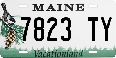 ME license plate 7823TY