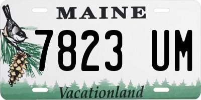 ME license plate 7823UM