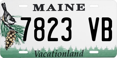 ME license plate 7823VB