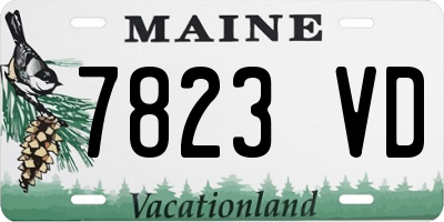 ME license plate 7823VD