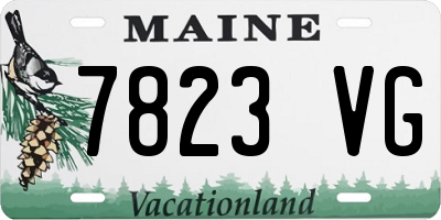 ME license plate 7823VG