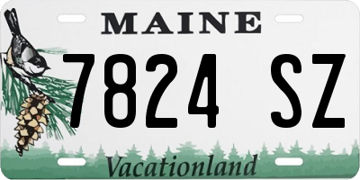 ME license plate 7824SZ