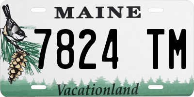 ME license plate 7824TM